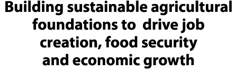 Building sustainable agricultural foundations to drive job creation, food security and economic growth 