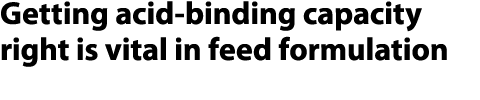 Getting acid binding capacity right is vital in feed formulation 