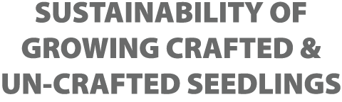 SUSTAINABILITY OF GROWING CRAFTED & UN CRAFTED SEEDLINGS 