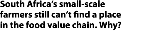 South Africa’s small scale farmers still can’t find a place in the food value chain. Why? 