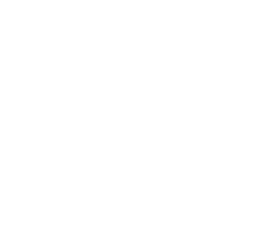 The Vumelana Advisory Fund is a non profit organisation that works with land reform beneficiaries to make their land ...