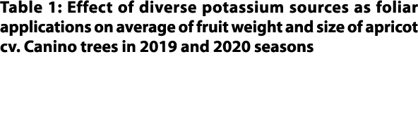 Table 1: Effect of diverse potassium sources as foliar applications on average of fruit weight and size of apricot cv...