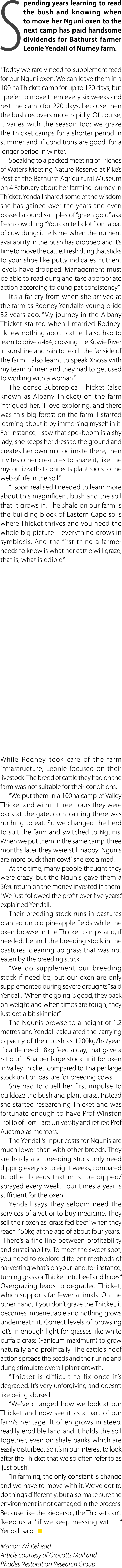 Spending years learning to read the bush and knowing when to move her Nguni oxen to the next camp has paid handsome d...