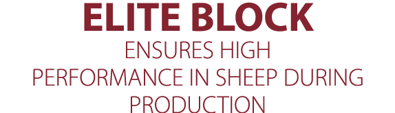 ELITE BLOCK ENSURES HIGH PERFORMANCE IN SHEEP DURING PRODUCTION