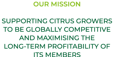 OUR MISSION SUPPORTING CITRUS GROWERS TO BE GLOBALLY COMPETITIVE AND MAXIMISING THE LONG TERM PROFITABILITY OF ITS ME...
