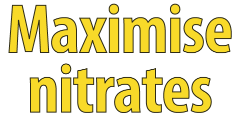 Maximise nitrates