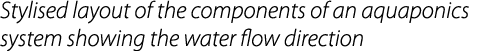 Stylised layout of the components of an aquaponics system showing the water flow direction
