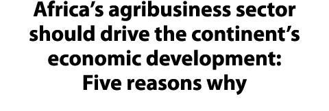 Africa’s agribusiness sector should drive the continent’s economic development: Five reasons why