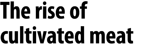 The rise of cultivated meat