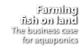 Farming fish on land The business case for aquaponics