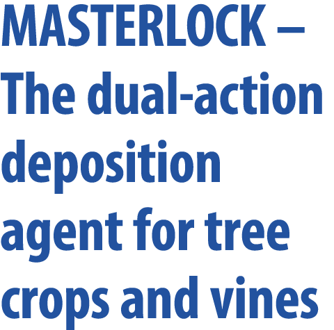 MASTERLOCK – The dual action deposition agent for tree crops and vines