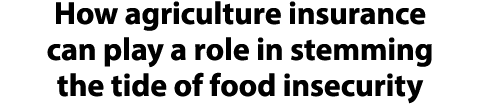 How agriculture insurance can play a role in stemming the tide of food insecurity