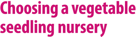 Choosing a vegetable seedling nursery