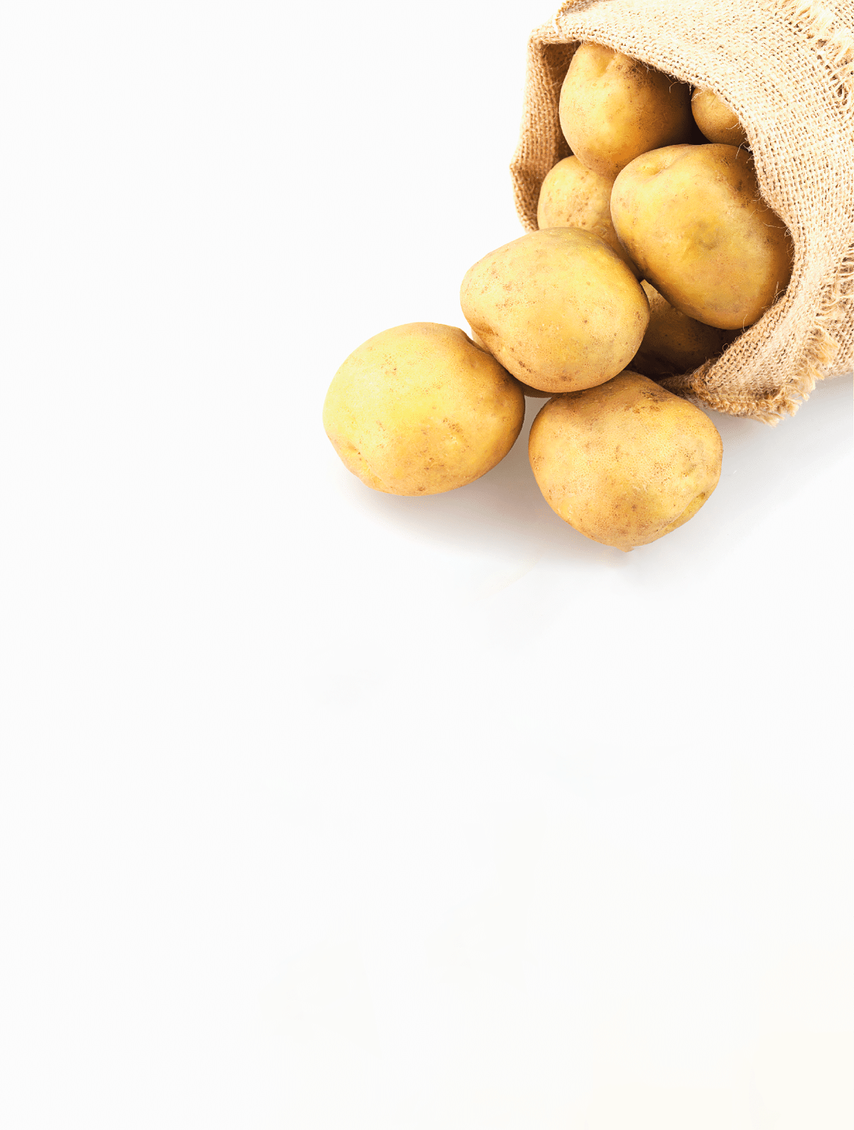 Potato sack isolated over white