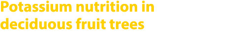 Potassium nutrition in deciduous fruit trees