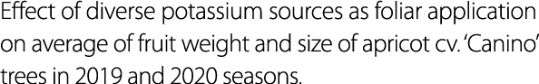 Effect of diverse potassium sources as foliar application on average of fruit weight and size of apricot cv. ‘Canino’...