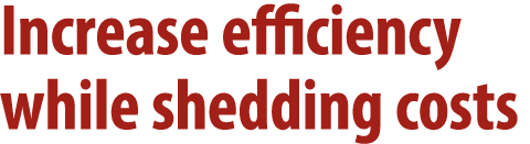 Increase efficiency while shedding costs