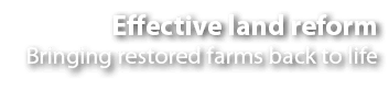 Effective land reform Bringing restored farms back to life 
