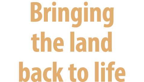 Bringing the land back to life