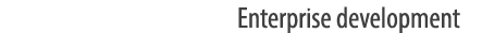 Enterprise development