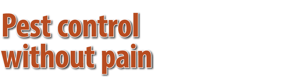 Pest control without pain