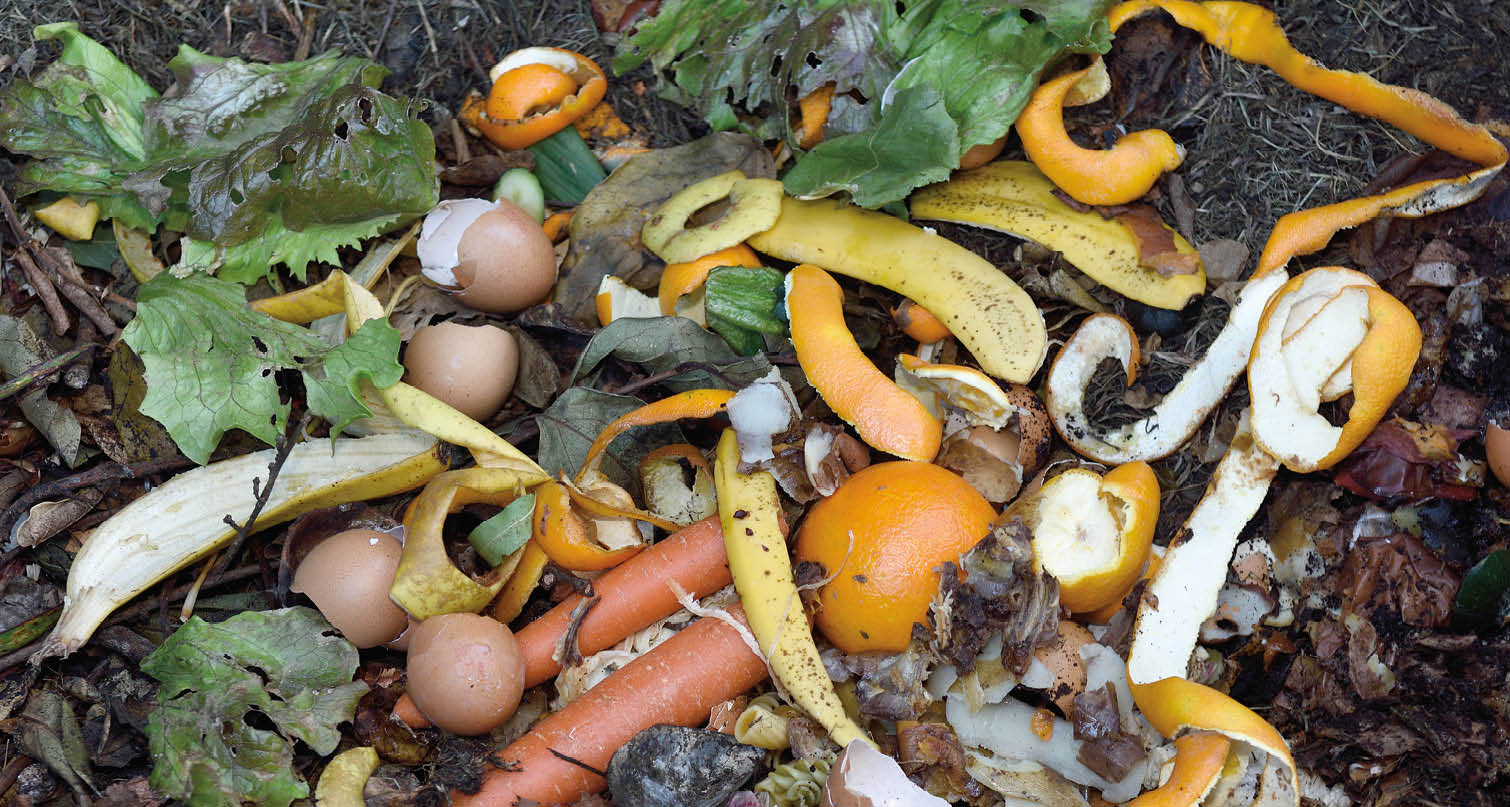 inside of a composting container