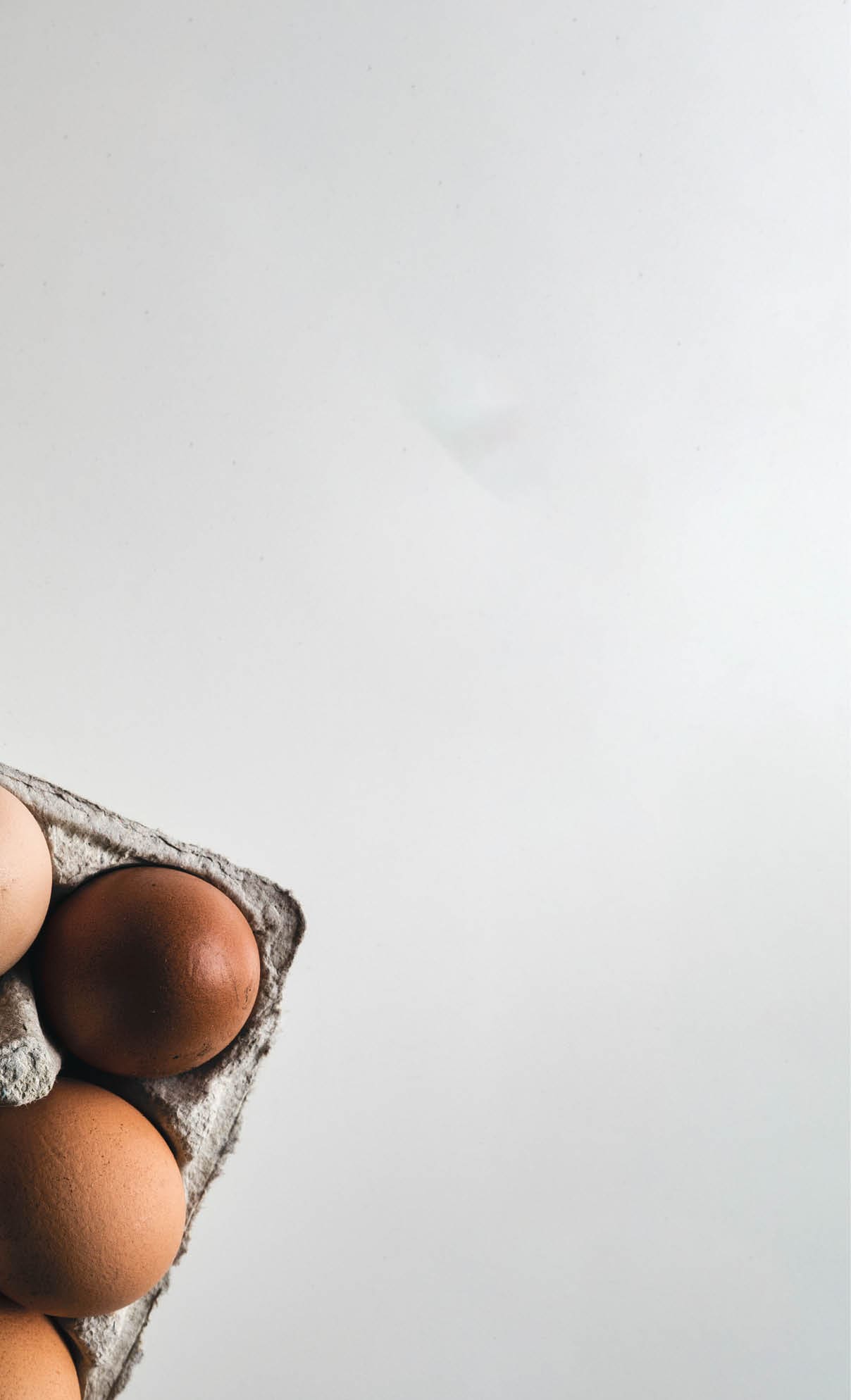 Eggs in a carton