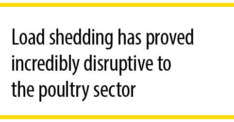 Load shedding has proved incredibly disruptive to the poultry sector