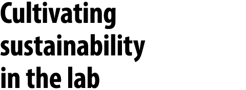 Cultivating sustainability in the lab 