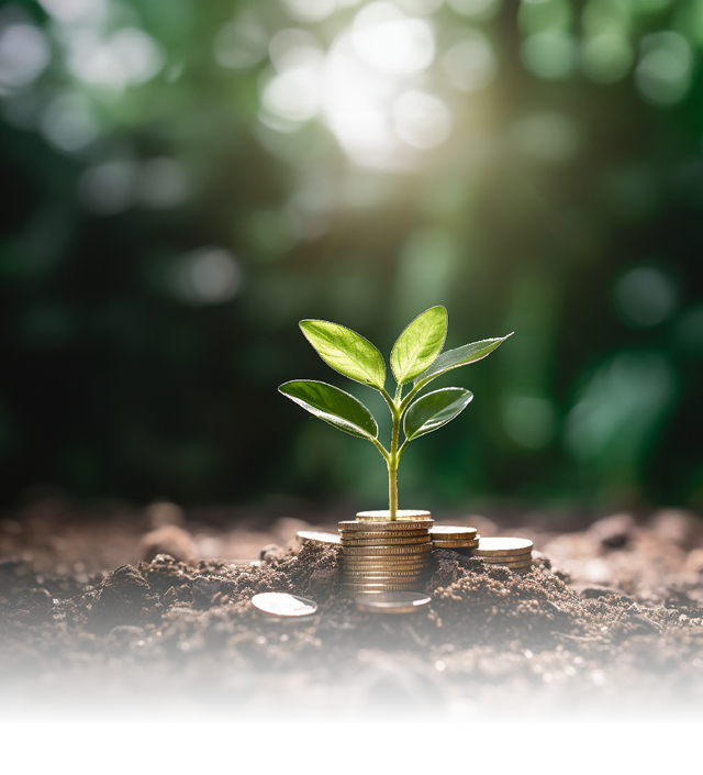 a green plant growing out of a pile of coins with trees behind it, in the style of detailed world-building, nul group, shaped canvas, earthworks, high quality photo