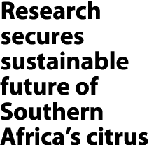 Research secures sustainable future of Southern Africa’s citrus