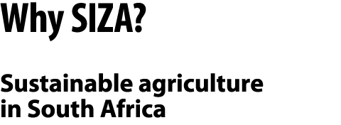 Why SIZA? Sustainable agriculture in South Africa 