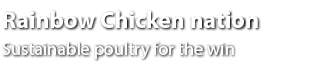 Rainbow Chicken nation Sustainable poultry for the win