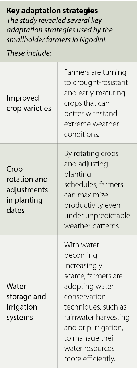 Key adaptation strategies The study revealed several key adaptation strategies used by the smallholder farmers in Ngo...