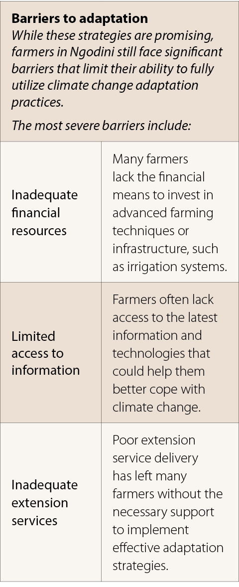 Barriers to adaptation While these strategies are promising, farmers in Ngodini still face significant barriers that ...