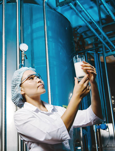 milk factory production industrial worker machinery technology