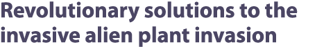 Revolutionary solutions to the invasive alien plant invasion 