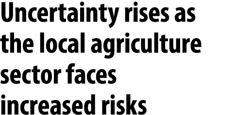 Uncertainty rises as the local agriculture sector faces increased risks 