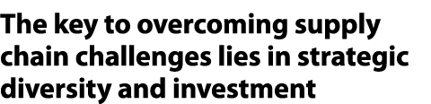 The key to overcoming supply chain challenges lies in strategic diversity and investment 
