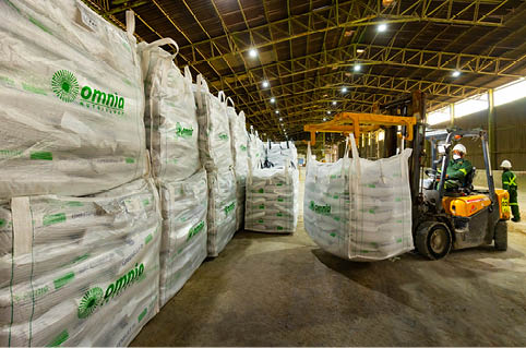 Bagging Plant - Joel Mkhohliso, Forklift Driver. 