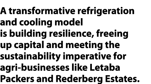 A transformative refrigeration and cooling model is building resilience, freeing up capital and meeting the sustainab...