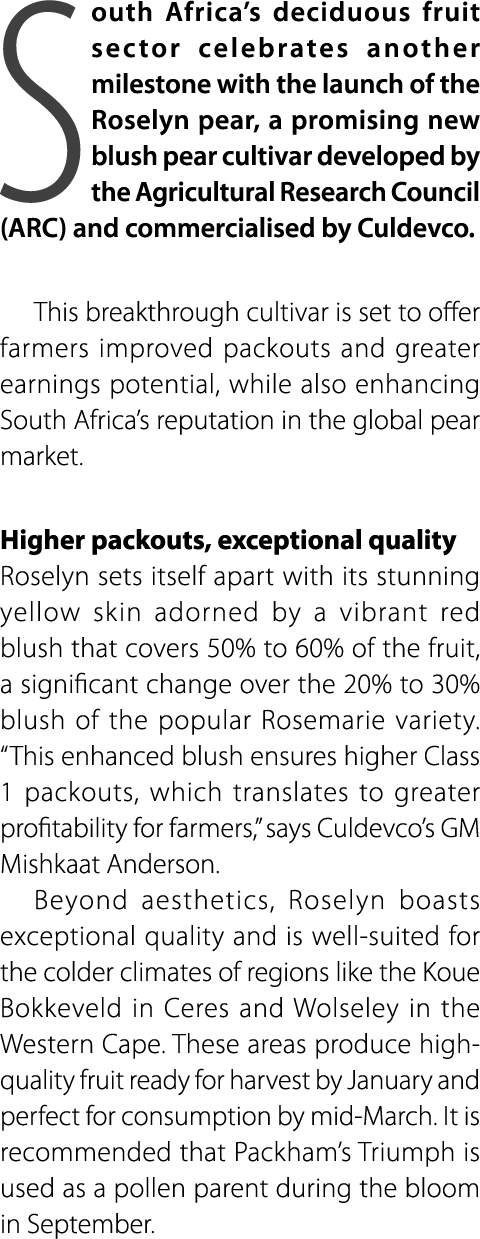 South Africa’s deciduous fruit sector celebrates another milestone with the launch of the Roselyn pear, a promising n...