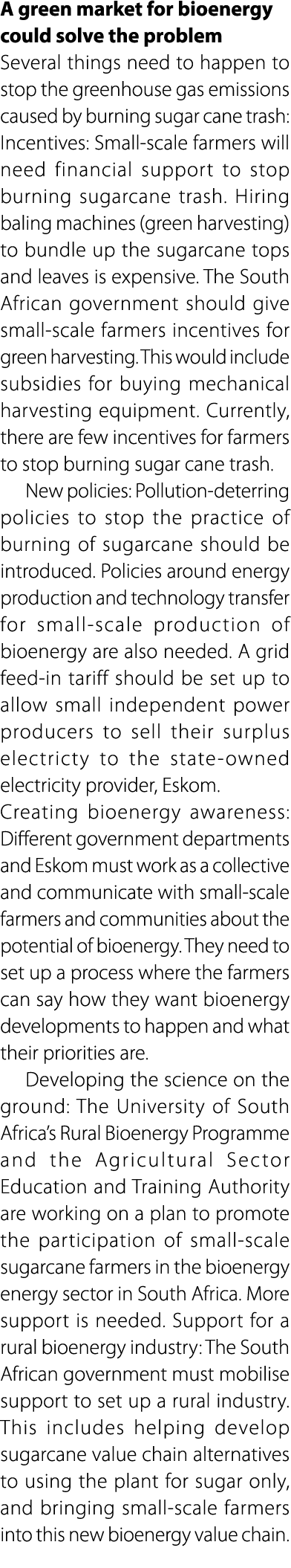 A green market for bioenergy could solve the problem Several things need to happen to stop the greenhouse gas emissio...