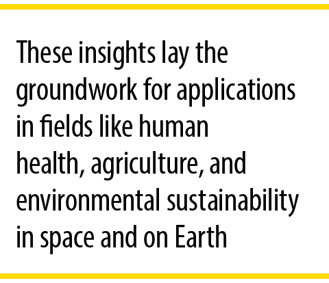 These insights lay the groundwork for applications in fields like human health, agriculture, and environmental sustai...