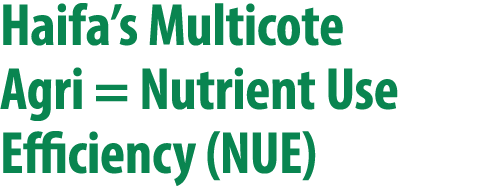 Haifa’s Multicote Agri = Nutrient Use Efficiency (NUE)