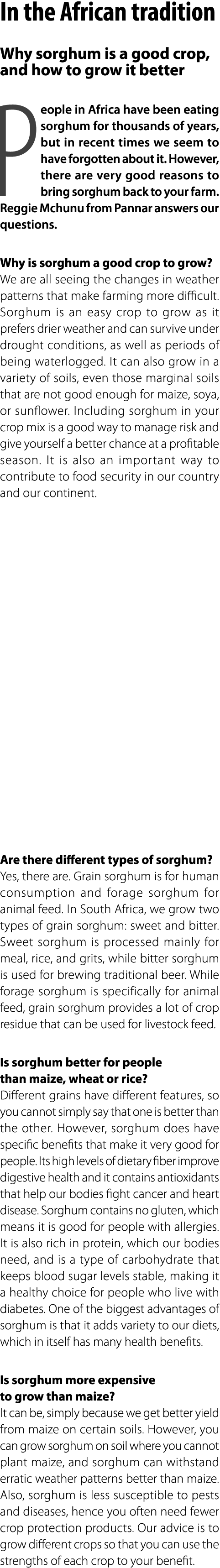 In the African tradition Why sorghum is a good crop, and how to grow it better People in Africa have been eating sorg...