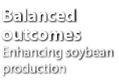 Balanced outcomes Enhancing soybean production