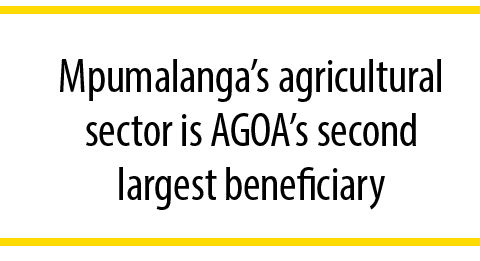 Mpumalanga&rsquo;s agricultural sector is AGOA&rsquo;s second largest beneficiary