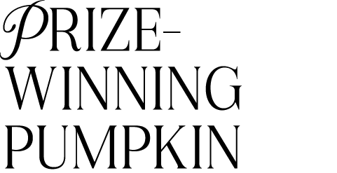 Prize winning pumpkin 