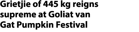 Grietjie of 445 kg reigns supreme at Goliat van Gat Pumpkin Festival 